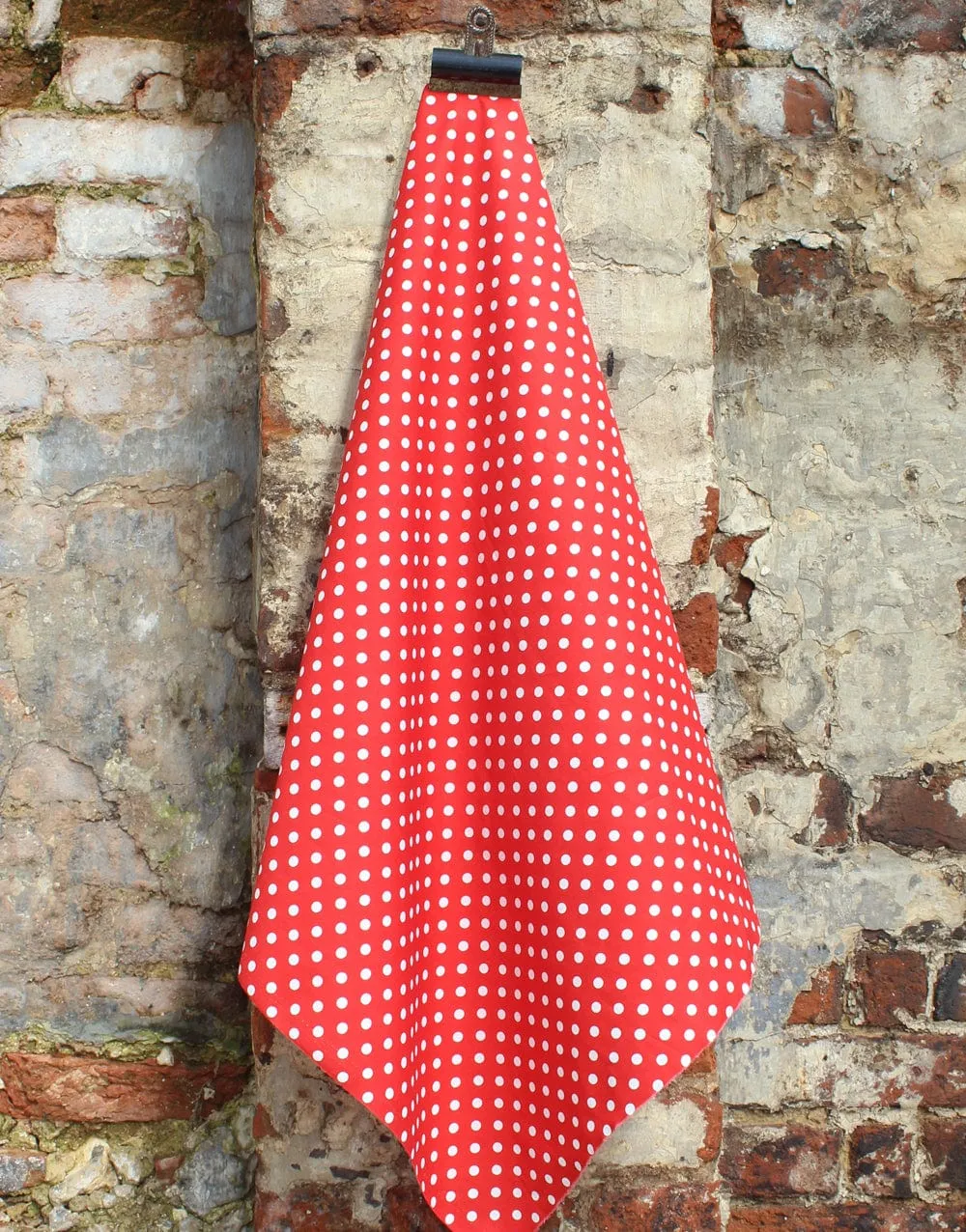 Spotty Cotton Poplin Fabric