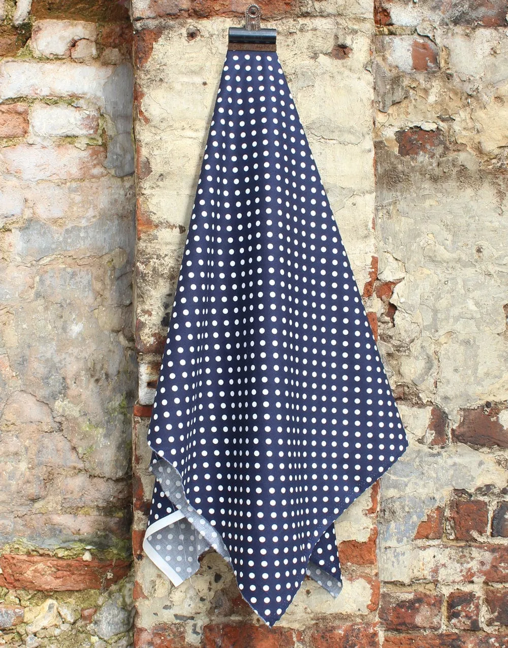 Spotty Cotton Poplin Fabric