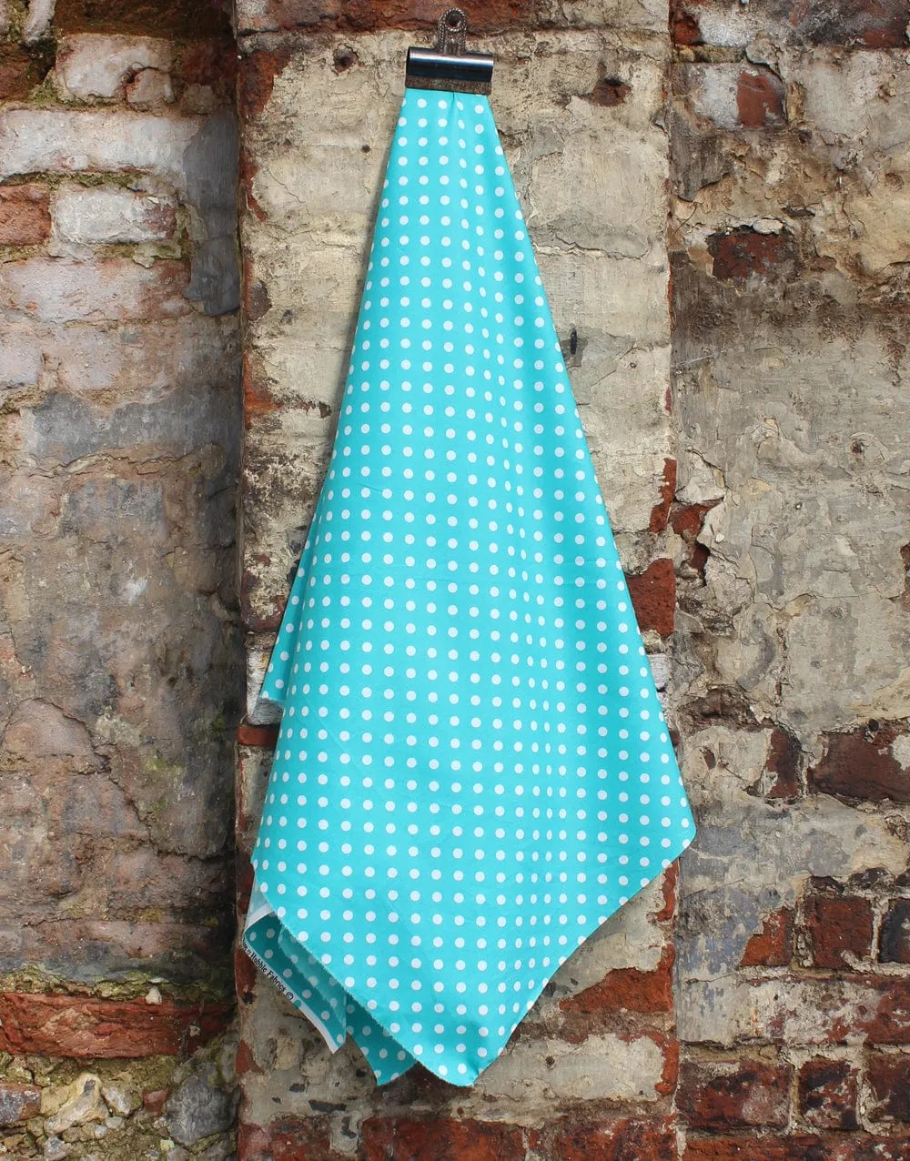 Spotty Cotton Poplin Fabric